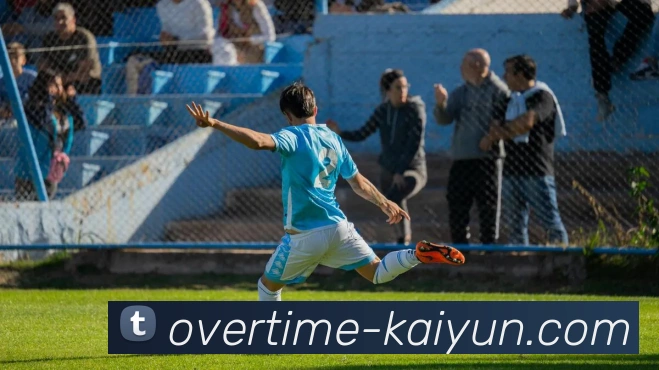 开云网站平台生态图