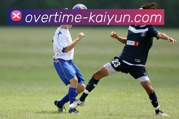 开云网站全站App